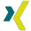 Xing Icon